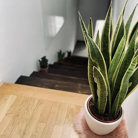 Loft Jz * Ljubljana