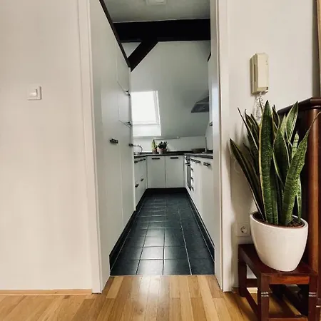 Jz Loft With Parking And Self Check In Apartamento *